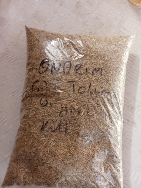 Genta Onarım Çim Tohumu 1 kg.