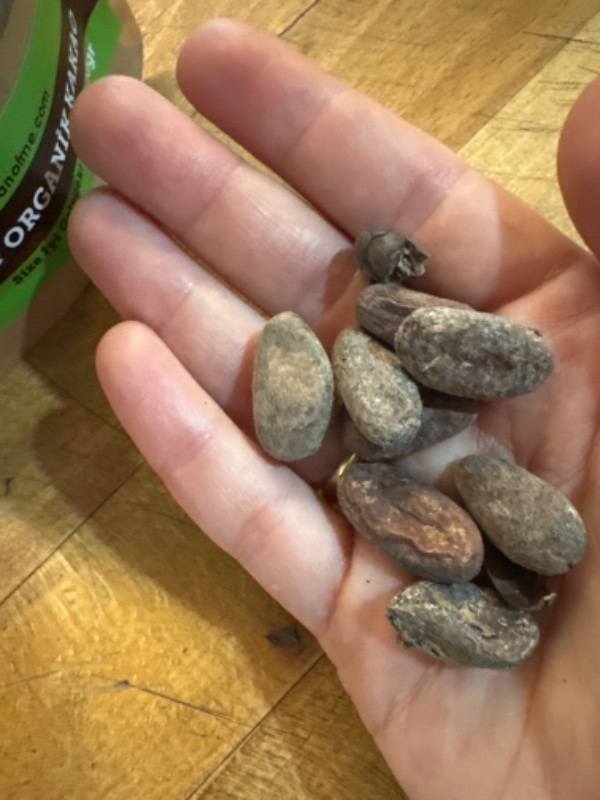 Beanofme Kakao Çekirdeği 100 gr