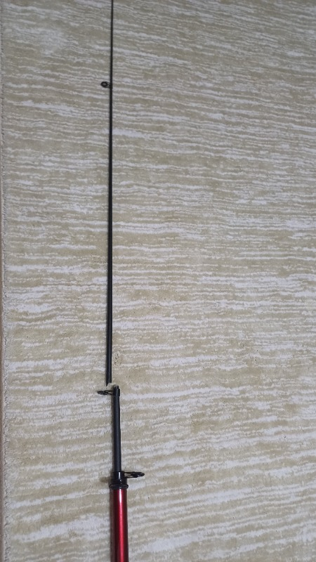 Bauer Colpa 400 cm 100-200 gr Teleskobik