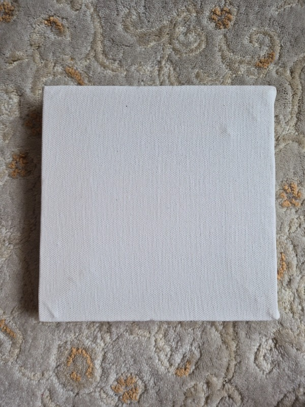 visual-comment-img