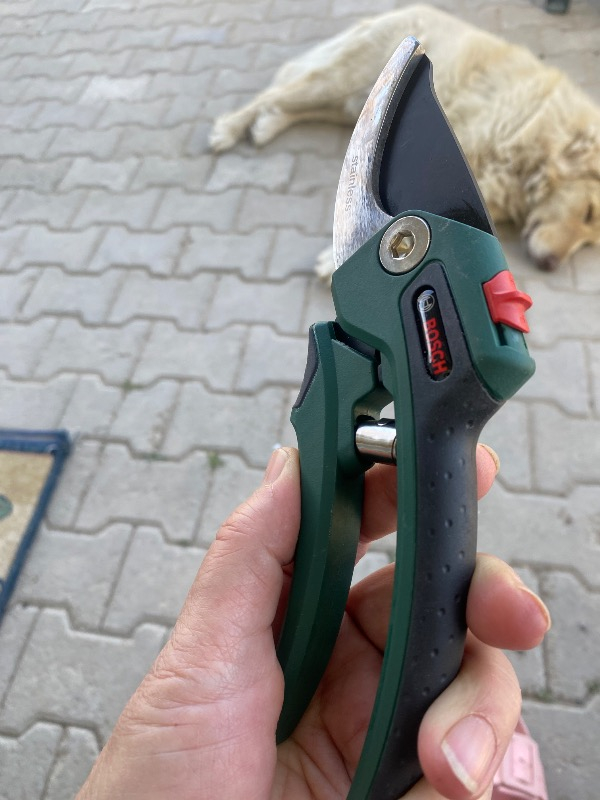 BOSCH BAHÇE  MAKASI 0.600.8B5.000