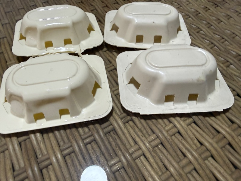 Raid Hamam Böceği Yemi - 12 Adet