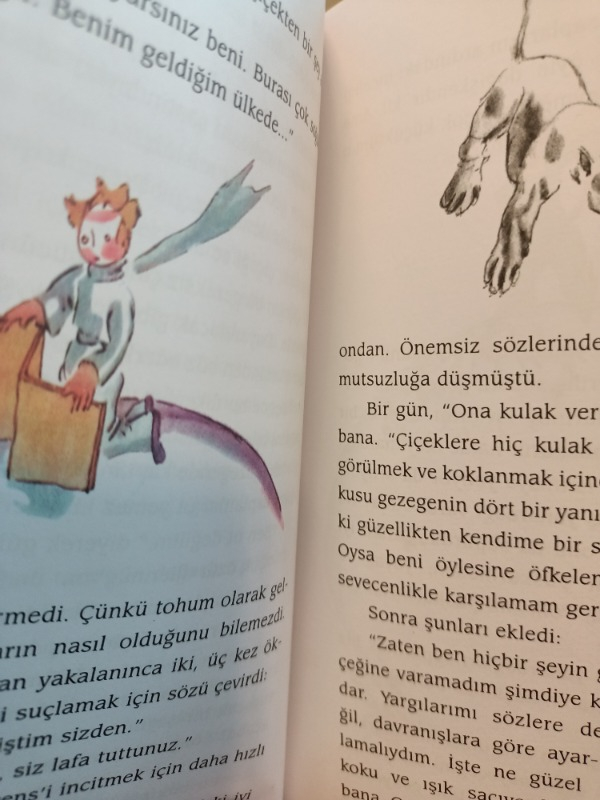 Küçük Prens - Antonie de Saint-Exupery