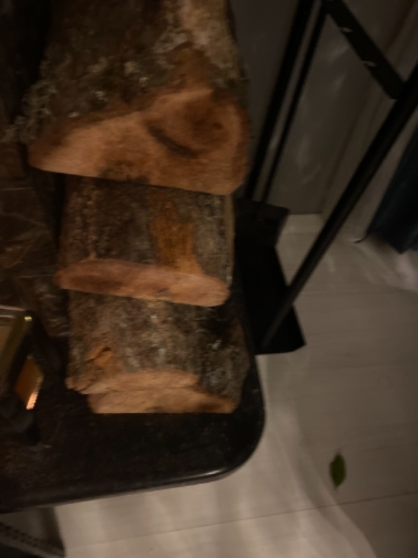 Meşe Şömine Odunu 20 kg