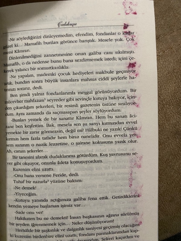 Çalıkuşu (Yeni Kapak) - Reşat Nuri Güntekin