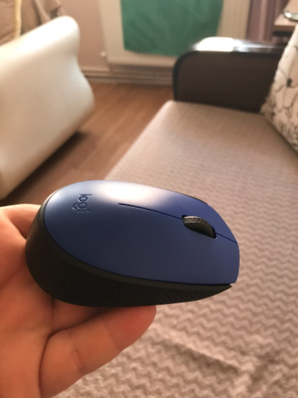 Logitech M171 USB Alıcılı Kablosuz Kompakt Mouse - Mavi