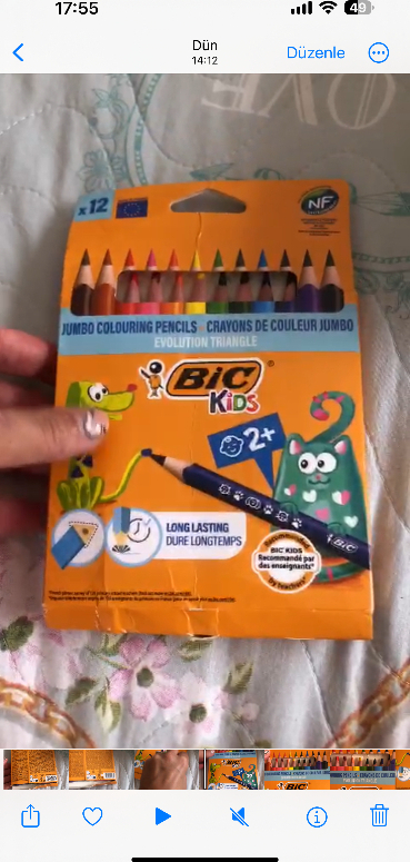 BIC Kids Evolution Üçgen Jumbo Kuru Boya Kalemi 12'Li Kutu
