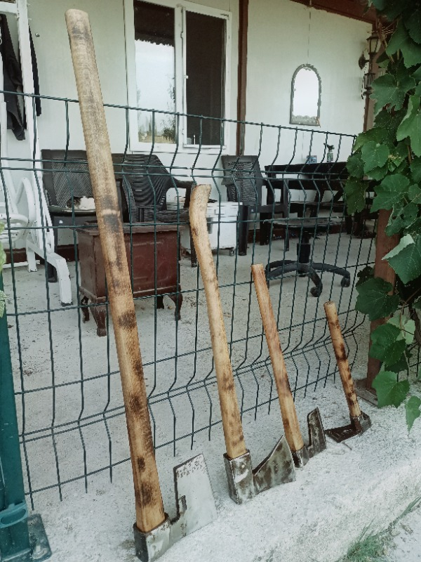 AT - Ingiliz Nevi Bezir Yağı 1 Lt