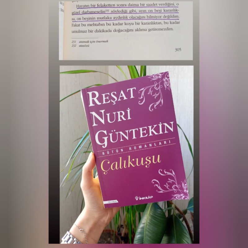 Çalıkuşu - Reşat Nuri Güntekin