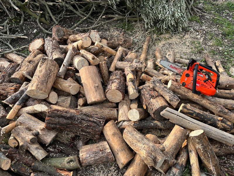 Palmera ZL 2501 Pro Benzinli Motorlu Testere Dal Budama