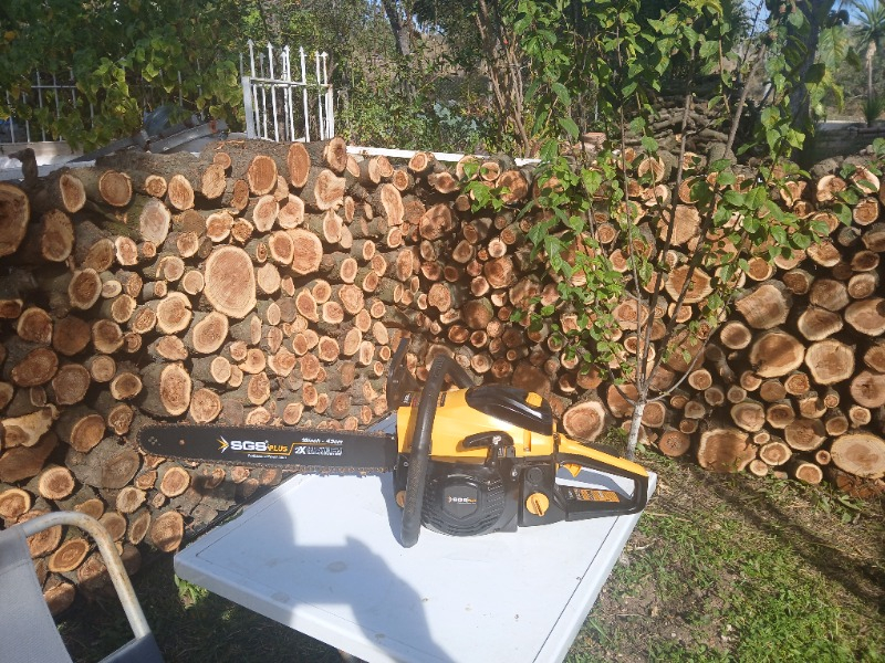Sgs SGS5354 Ağaç Kesme Motoru Benzinli