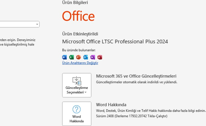 Microsoft Windows 11 & Office 2024 Pro Plus USB Kurulum + Orijinal Hediyeli Lisans - 2025/2026 Key ve Format Flash Bellek