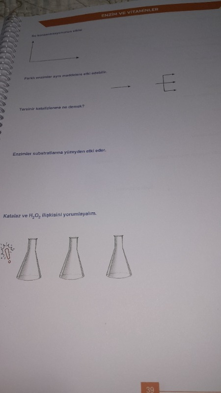 visual-comment-img