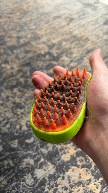 Pet Brush Buharlı Kedi Köpek Tarama