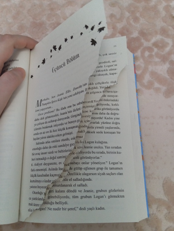 Pumpkin Spice Kafe - Aşık olma Mevsimi - Laurie Gilmore