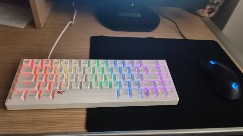 Havit Gamenote KB874L Mekanik Red Switch Gaming %60 Klavye - Red Switch