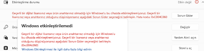 Microsoft Windows 11 Home - Elektronik Lisans