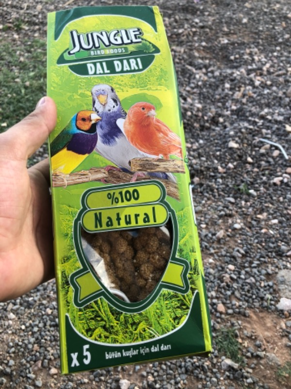Jungle Doğal Dal Darı 5 Li Paket