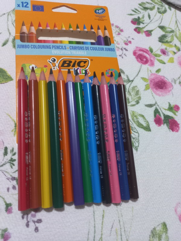 Bic Evolution Üçgen jumbo Boya Kalemi 12 Renk 1632