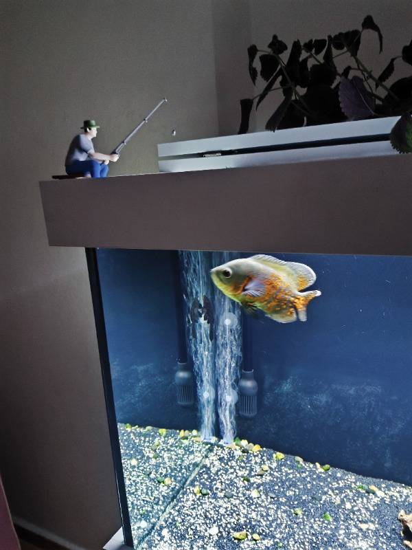 visual-comment-img