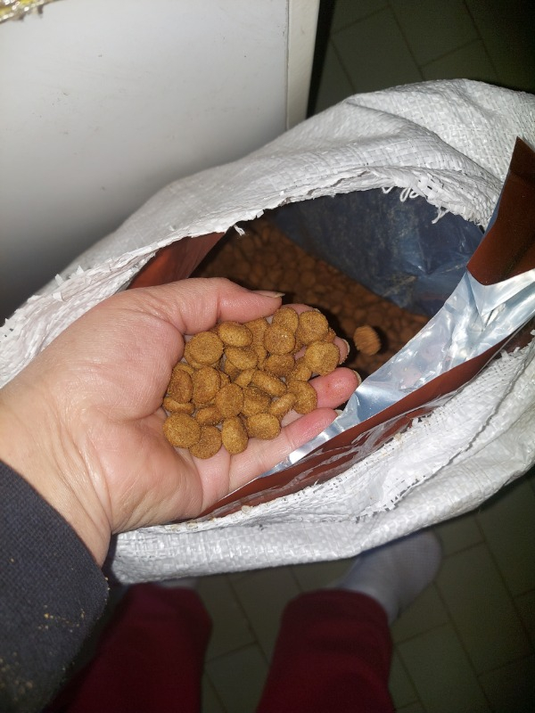King Plus Beef Dog Biftekli Yetişkin Köpek Maması 15 Kg
