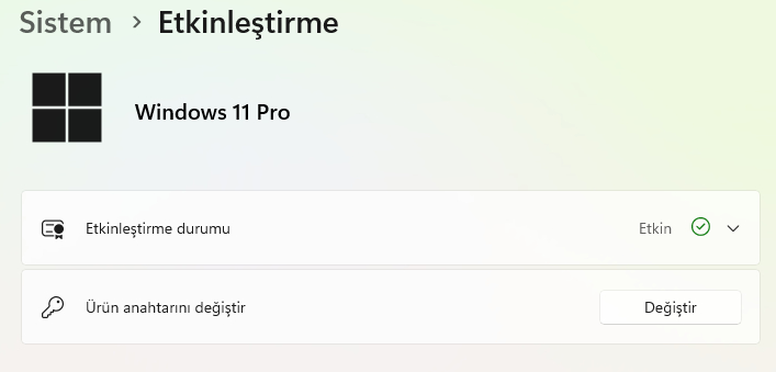 Microsoft Windows 11 Pro - Elektronik Lisans