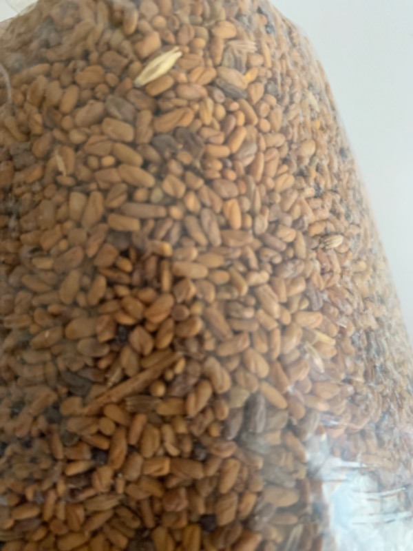 Hüdaverdi Arıcılık Çemen Otu Tohumu Kaliteli 1 kg