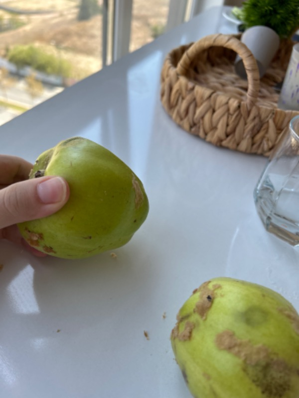 Ayva (1 kg )