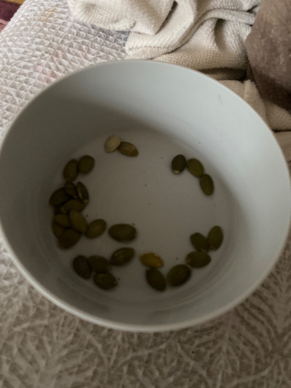 Sade Organik Sade Kabak Çekirdeği İçi 250 gr