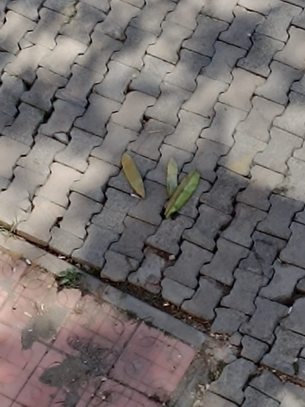visual-comment-img