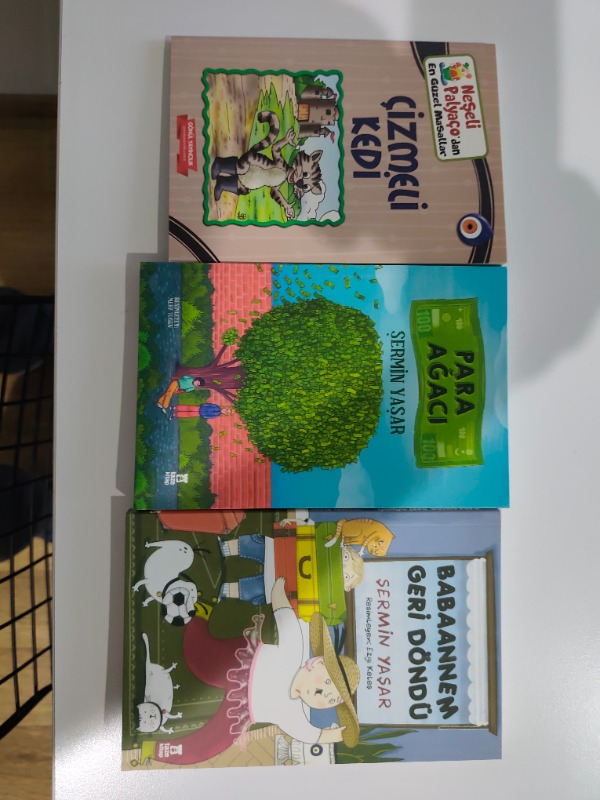 Taze Kitap Babaannem Geri Döndü - Şermin Yaşar
