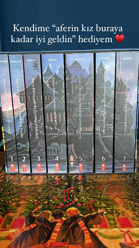 Harry Potter 1 - 7 - Special Edition - Packed - J. K. Rowling