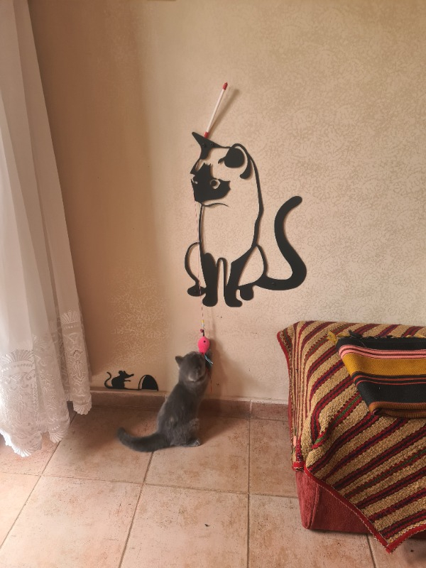 visual-comment-img