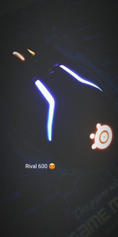 SteelSeries Rival 600 Oyuncu Mouse SSM62446