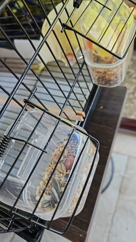 Versele Laga Paraket Yemi 1 kg