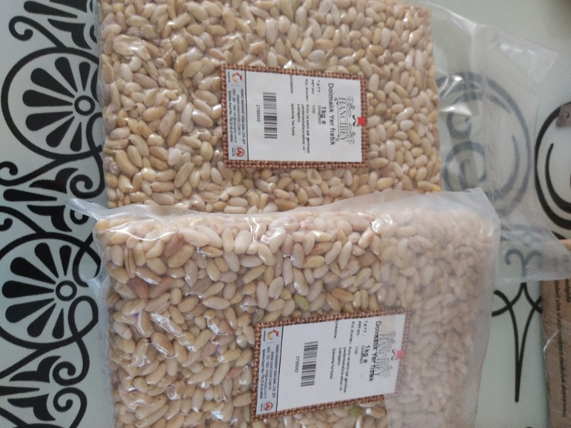 Hancıbey Dolmalık Yer Fıstık 1 kg