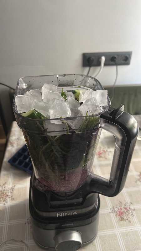 Ninja Detect Pro Blender
