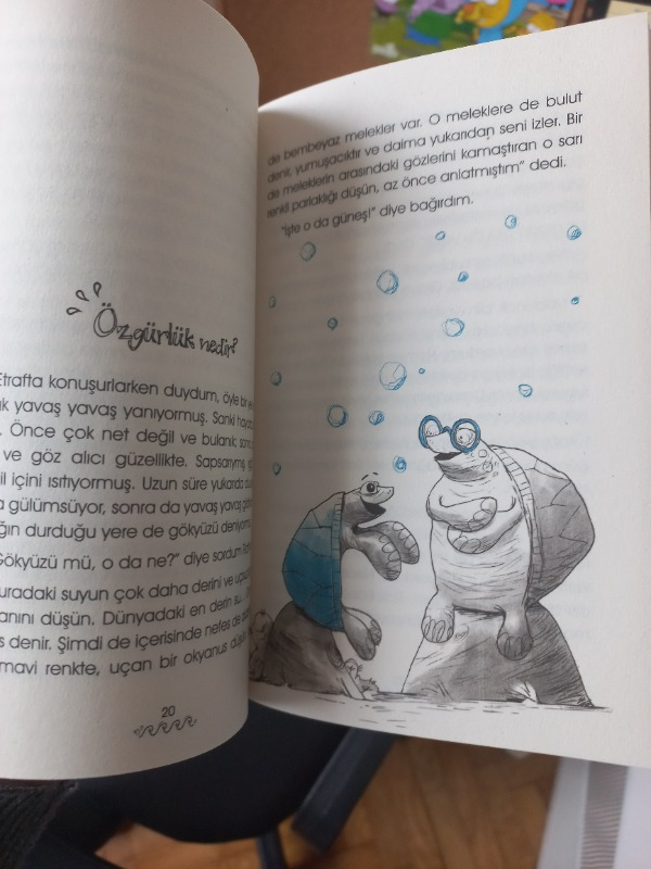 Sırtımdaki Okyanus