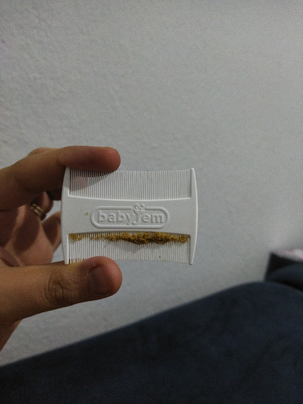 Babyjem Konak Tarağı