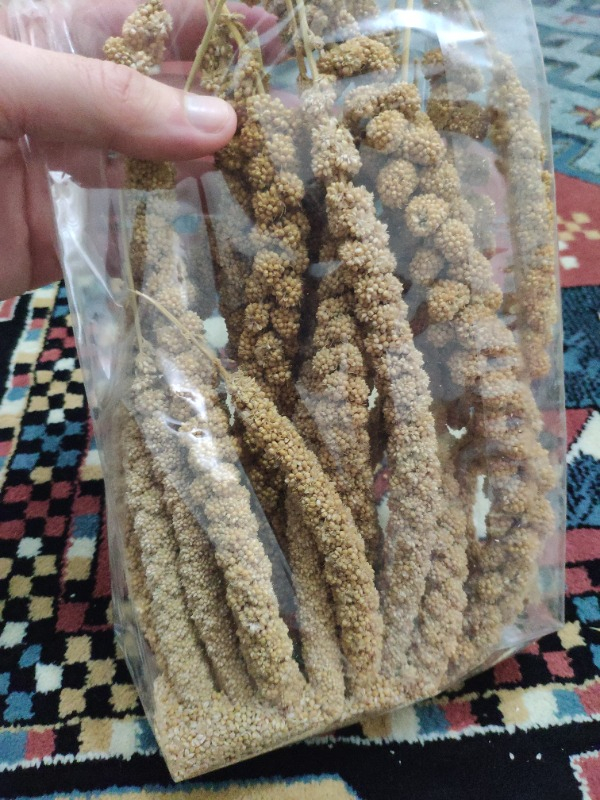 Eurogold Doğal Dal Darı 250 Gr