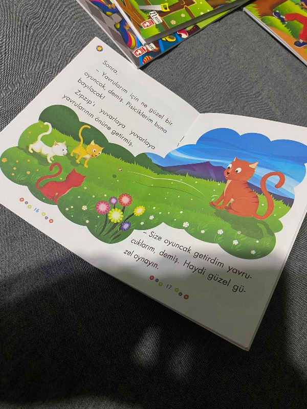 Mini Masallar Seti 1 (10 Kitap) - Müjgan Şeyhi