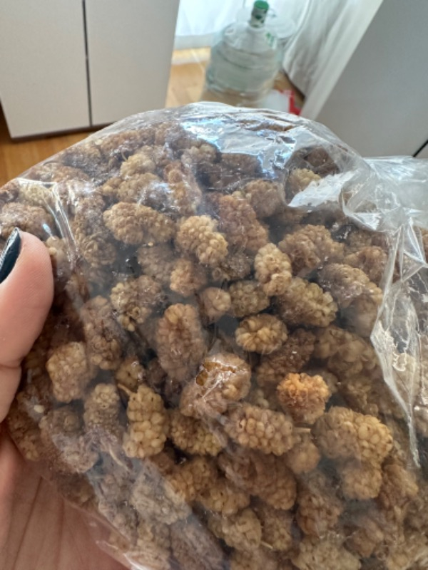 Kars Bakkaliyesi Dut Kurusu 300 gr