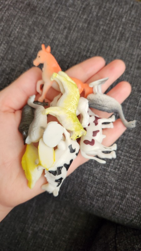 Sunman Çiftlik Hayvanları