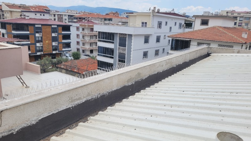 Expel Plastik Kuşkonmaz Bariyer Kuş Engelleyici Tel 3D Model 50'li