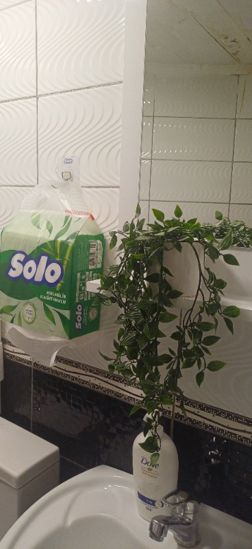 Solo Asılabilir Kağıt Havlu 1=7