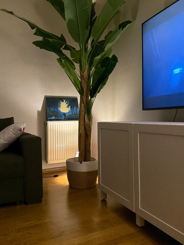 visual-comment-img