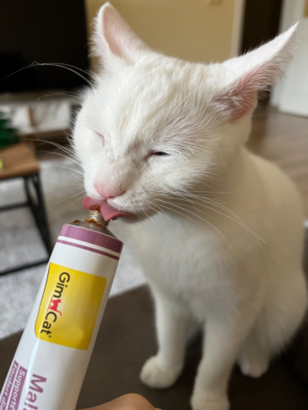 GimCat Malt Soft-Extra Pasta 100 Gr