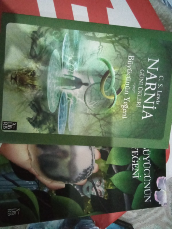 Narnia 1 Büyücünün Yeğeni - C.S. Lewis