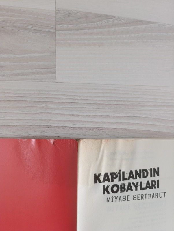visual-comment-img
