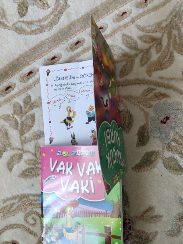 Mini Masallar Seti 1 (10 Kitap) - Müjgan Şeyhi